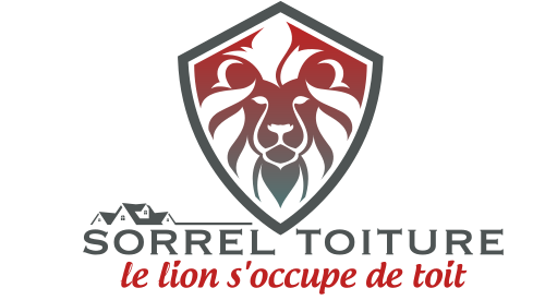 cropped-logo-web-transparent